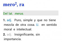 La captura que ha adjuntat Ahora Madrid amb la definició de 'mero'