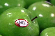 Pla detall d'una poma etiquetada com a Poma de Girona