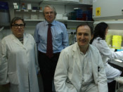 Felipe García, Teresa Gallart i Josep Maria Gatell han presentat la vacuna terapèutica aquest dimecres a l'Hospital Clínic.