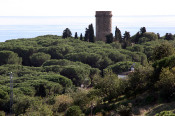 arenys de mar, pretòria