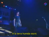 subtitols català sau