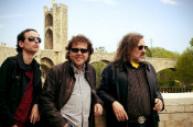 els pets rock senglar