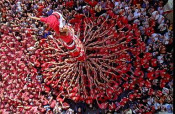 castells cultura catalana colles castelleres