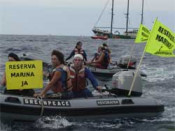 greenpeace palamós formigues