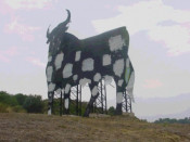 toro bruc