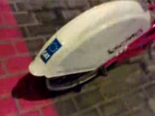 cat bicing