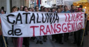 catalunya lliure de transgènics