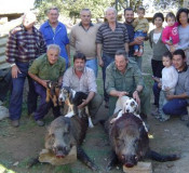 caçadors porcs senglars caça 