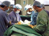 transplantament hospital malalt pacient 