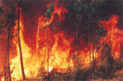 incendi foc