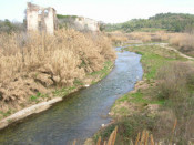 riu francoli 
