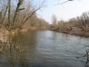 riu fluvià