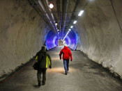 bunker noruega llavors mon 