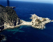 boscos illes balears fauna flora 