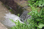 aigua regant ter ebre transvassament roine