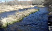 riu segre