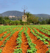 regar agricultura regadiu