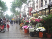 flors rambla barcelona