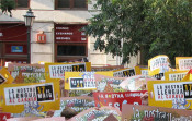 manifestació palma