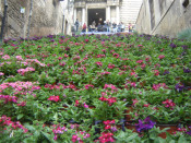 girona temps de flors