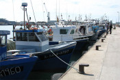 vaga pescadors catalans