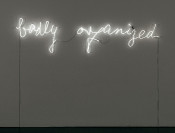 Peter Friedl, Untitled (Badly Organized), 2003. Col·lecció MACBA. Fundació MACBA. Donació de l'artista. © Peter Friedl, 2017. Fotografia: Gasull Fotografia.