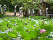 vietnam 