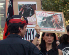 manifestació tauromàquia