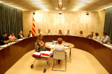 salt ajuntament consulta ple municipal