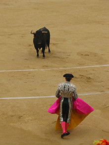 toros torero plaça