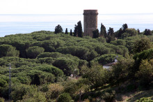 arenys de mar, pretòria