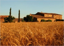 masia