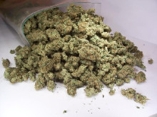 marihuana cànnabis