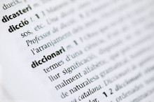 diccionari llengua català catalana