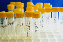 tubs, provetes, laboratori
