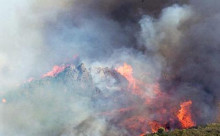 foc bosc catalunya bosc estiu