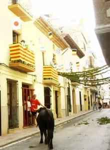 correbous toro ebre