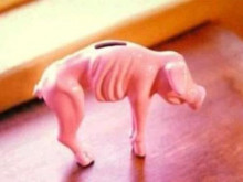 estalviar guardiola porc catalans diners