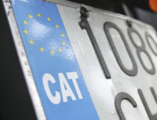 .cat dominis