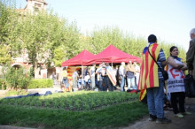 solidaritat, parlament, acampada