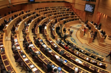 senat