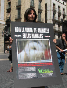 recollida signatures animals adda