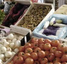 verdures catalunyam fruita fruites tomàquets