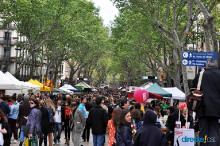 Sant Jordi
