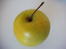 poma fruita lleida