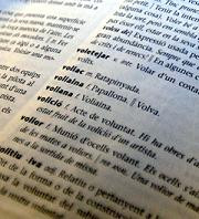 diccionari termcat paraules