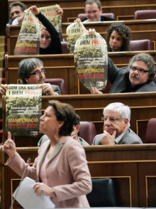 pancarta magdalena alvarez tarda puig congres 