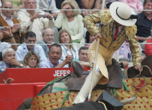 montilla toros 
