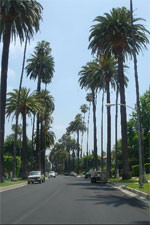 beverly hills