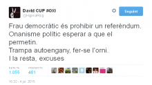 David Fernández respon amb aquest tuit punyent la diputada d'ICV
